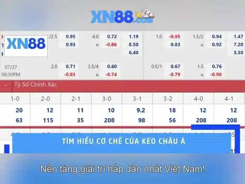 Trải nghiệm người dùng và dịch vụ khách hàng