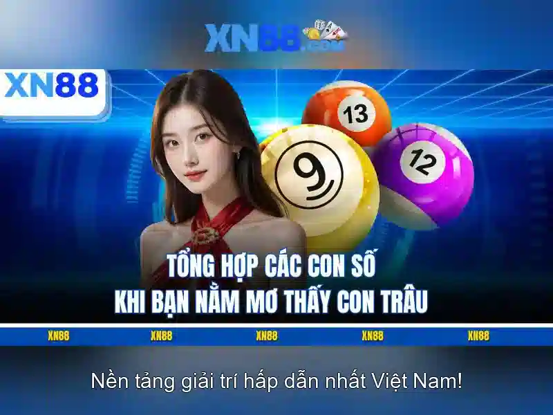 Hướng dẫn sử dụng cơ bản