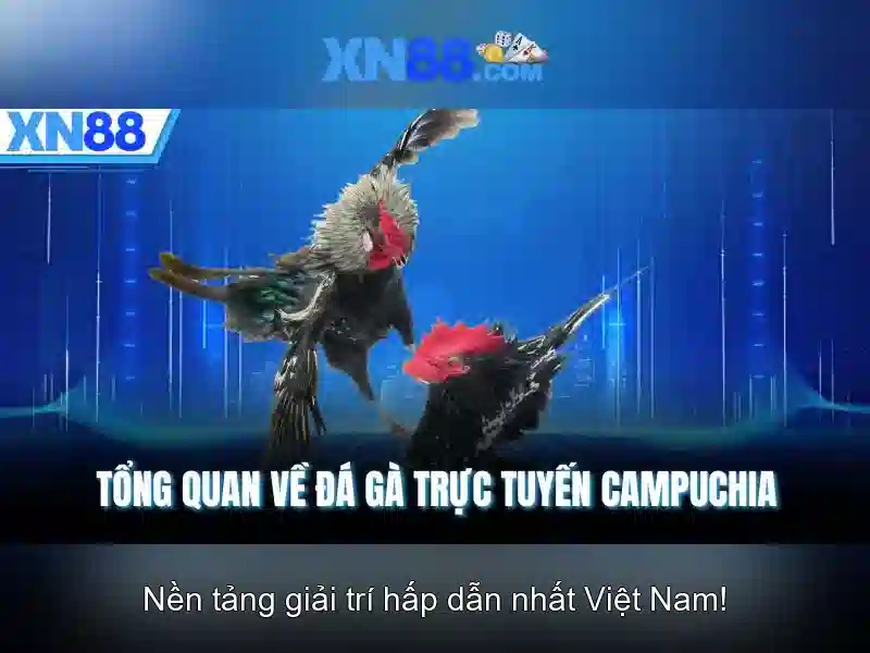 Giao diện và trải nghiệm