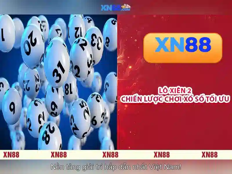 Giao diện người dùng và trải nghiệm