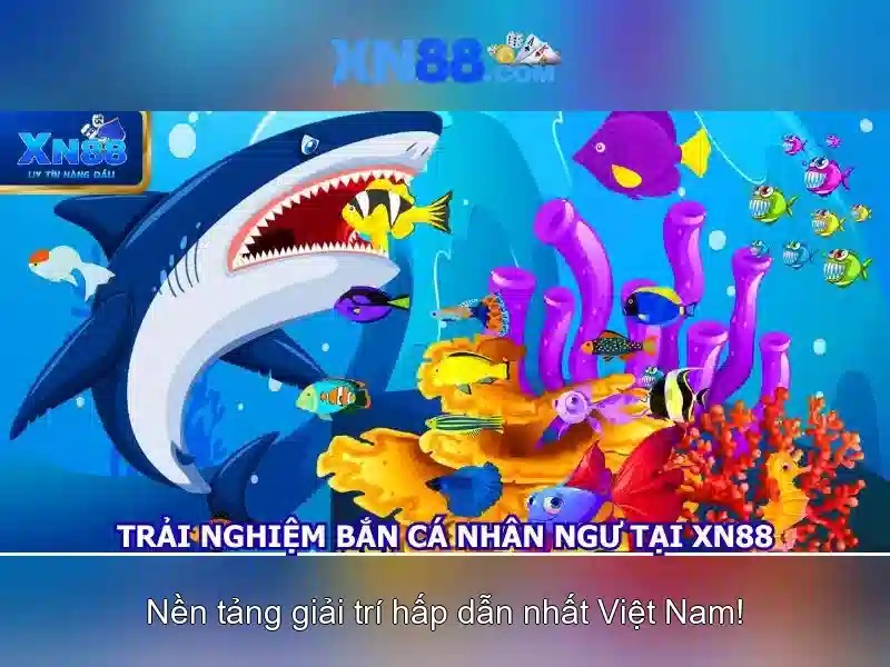 Hướng dẫn tham gia và cược hợp lệ