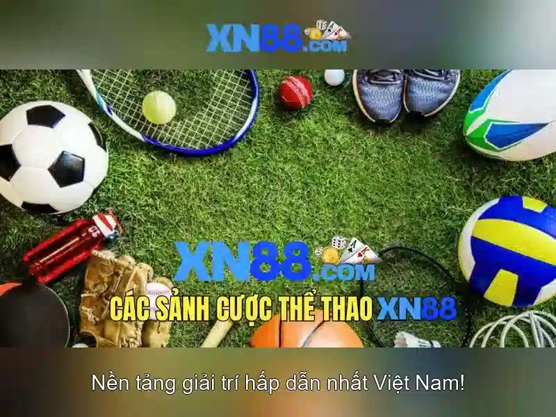 Các tính năng nổi bật