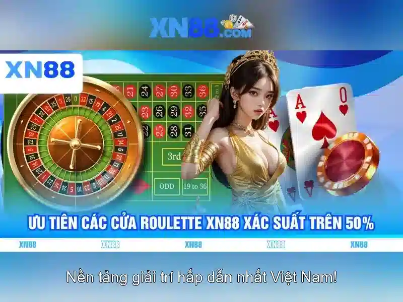 Hướng dẫn sử dụng căn bản