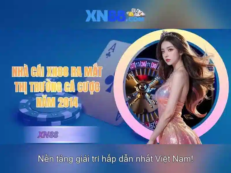 Lĩnh vực hoạt động của XN88