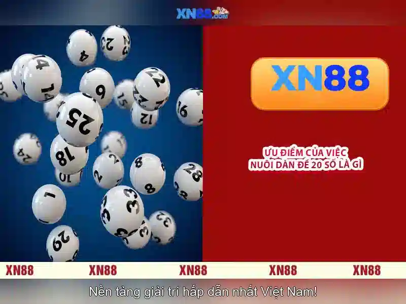 Lịch sử và nguồn gốc
