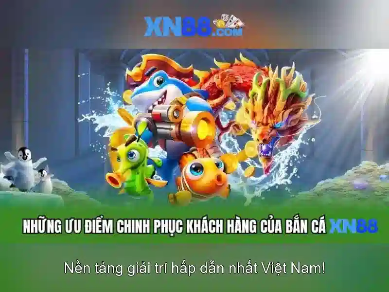 Hỗ trợ và cộng đồng