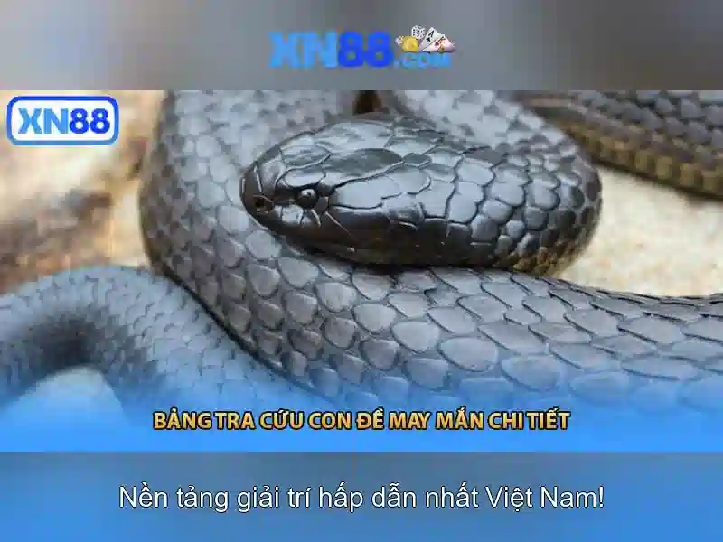 Các sản phẩm và trò chơi