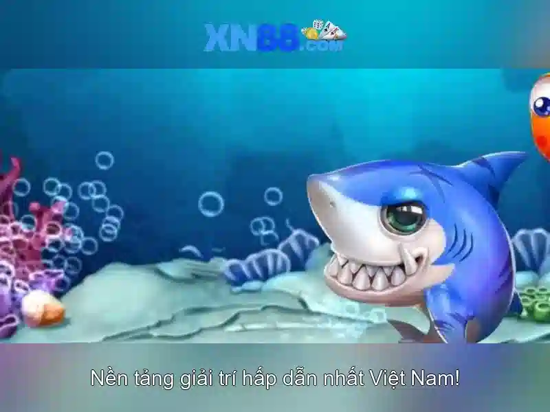 Một cái nhìn tổng quan về xn88