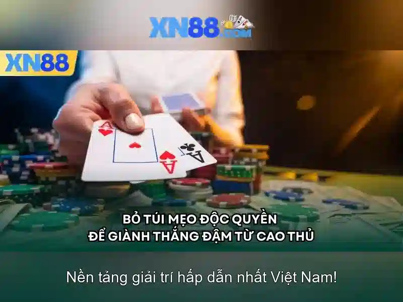 An toàn và cấp phép