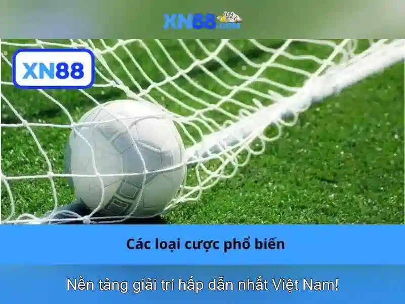 Tính năng nổi bật của xn88